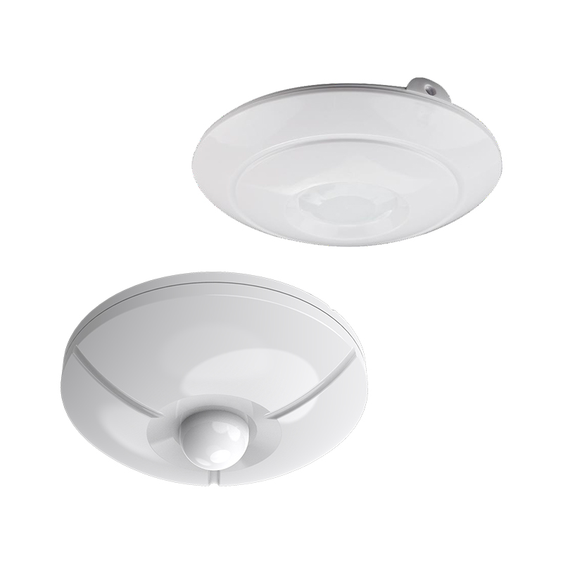 非法入侵探测器